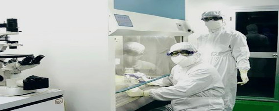 生物安全在生物技術研究與開發(fā)中的核心內(nèi)容