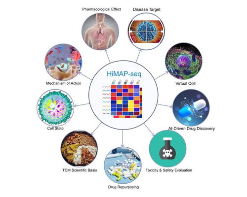 王棟、鄧赟與許俊泉團隊開發HiMAP-seq新技術并構建三億量級藥物基因表達數據庫CIGS，引領生物技術新前沿